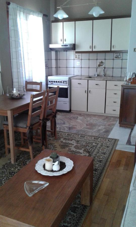 Apartament Olympus Hill Litochoro Zewnętrze zdjęcie